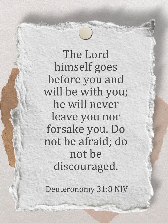 Bible 365 tweet media