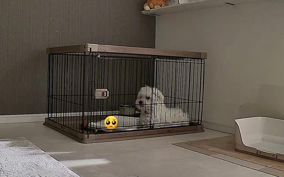 きなり tweet media