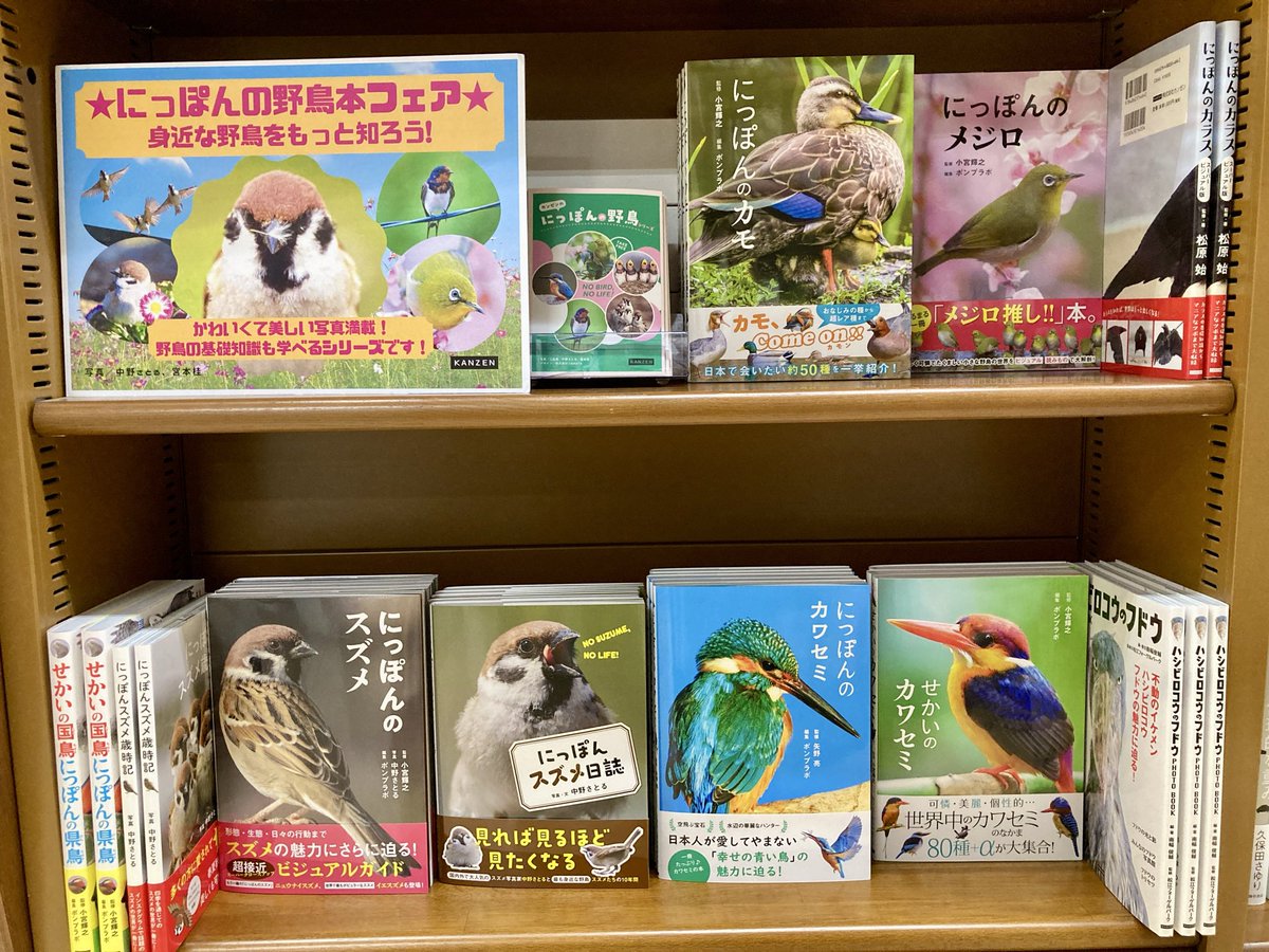 ジュンク堂書店難波店 tweet media