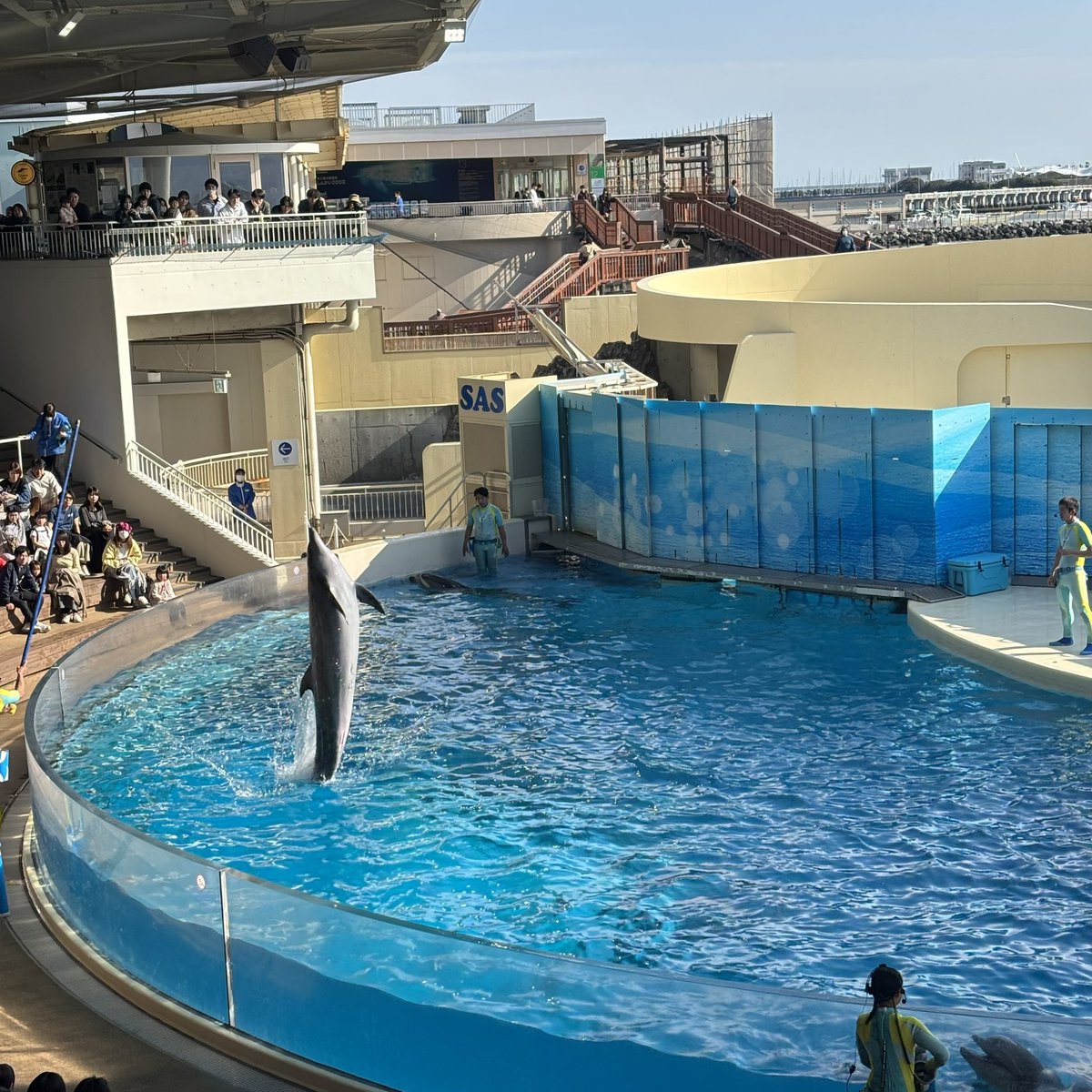 🦠🧬shiho🧬🦠 tweet media