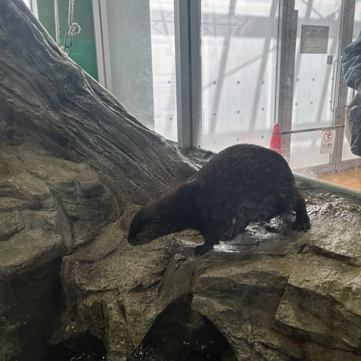 🦠🧬shiho🧬🦠 tweet media