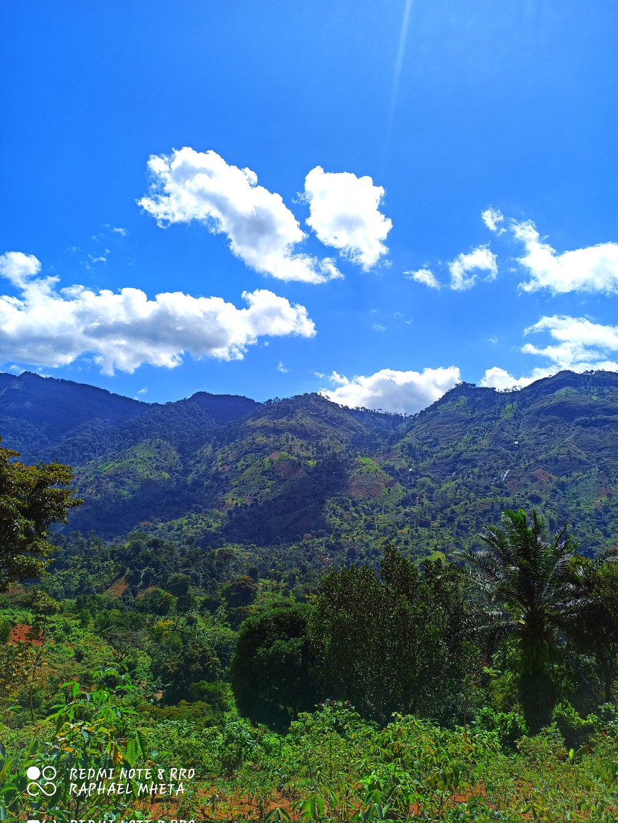 Raphael Mheta tweet media