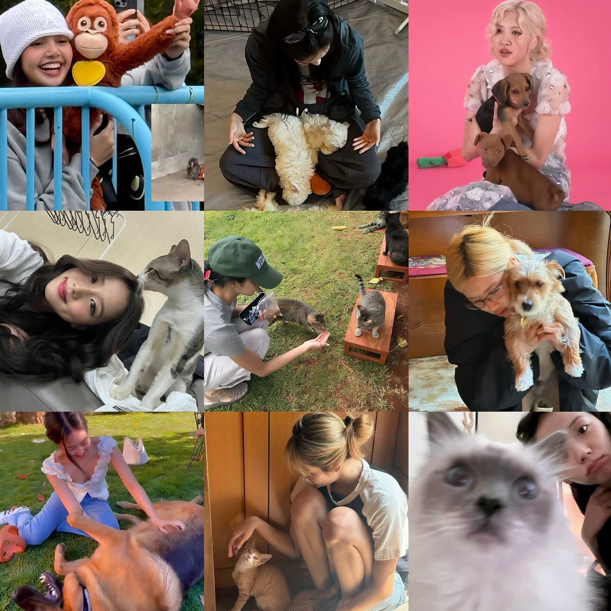lisademanoban's tweet photo. ‘animals are better than human’ https://t.co/iJDNmbqZHR