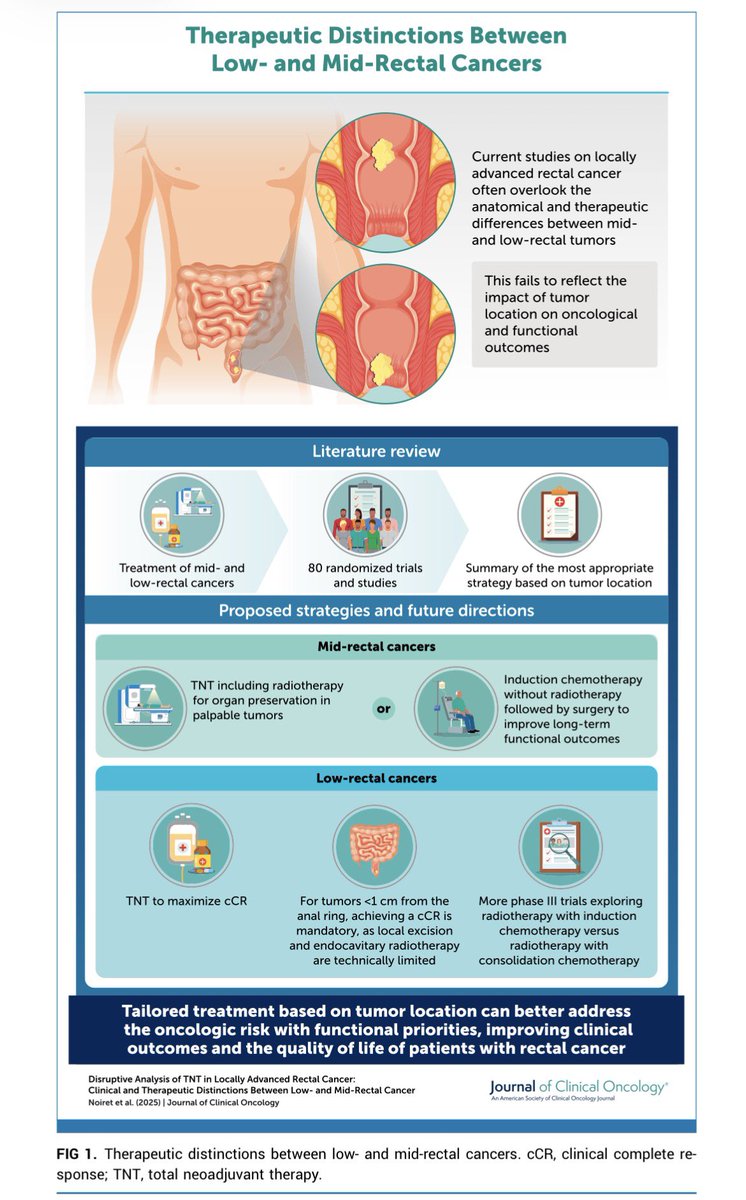 Erman_Akkus's tweet photo. 🏥Distinctions Between Low- and Mid-Rectal Cancers
@ASCO @JCO_ASCO 

👉https://t.co/wEKMsCjzSM

#cancer #oncology #MedX @OncoAlert https://t.co/W3gDd1GMkr