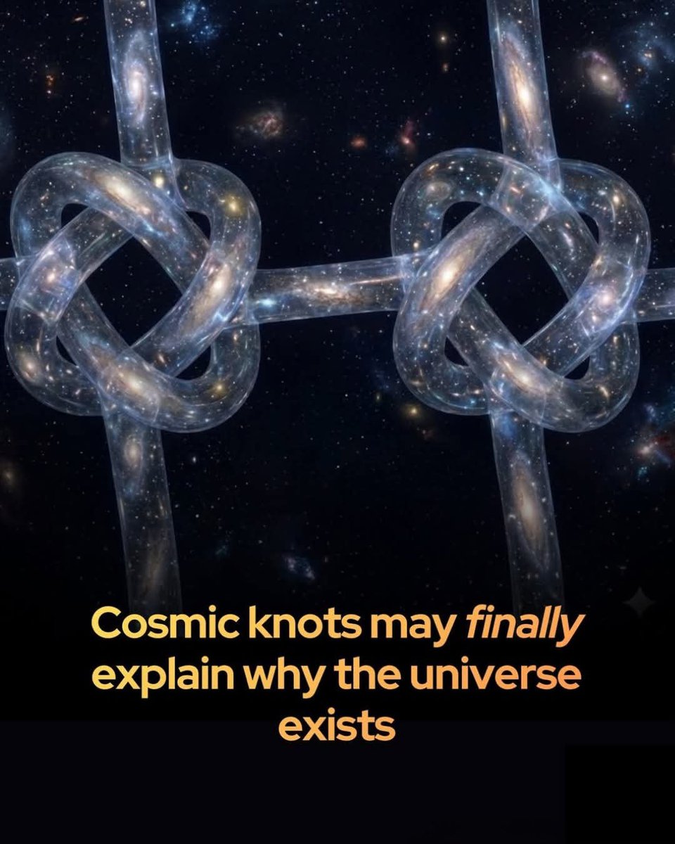 Night Sky Now tweet media