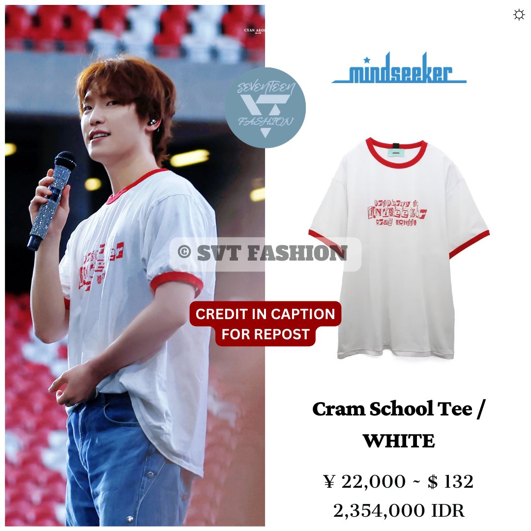Dino wore Mindseeker T-Shirt in Seventeen 'NEW_' Concert in