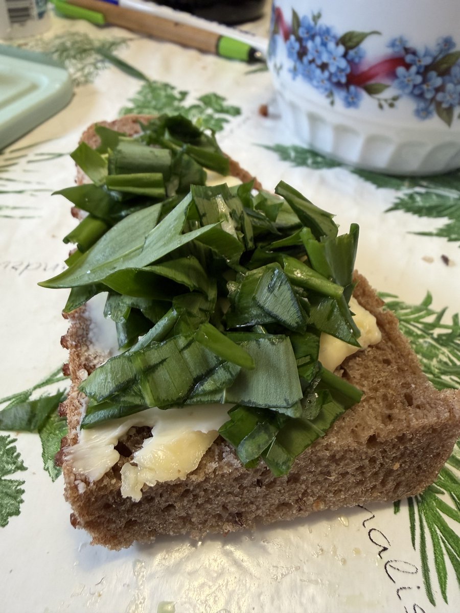 Erwin Vollmann🎗 tweet media