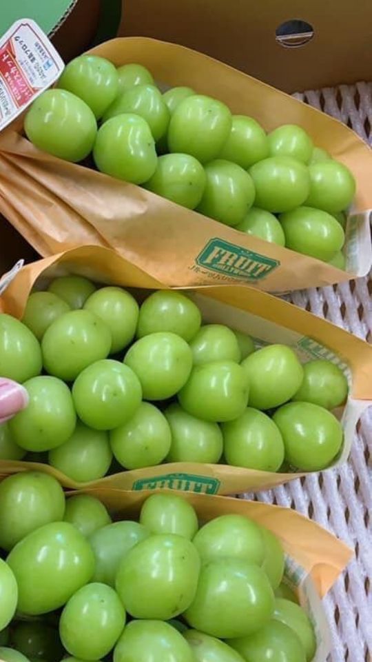 sweetxdessert's tweet photo. strawberries or grapes? https://t.co/sALp5QiYK1