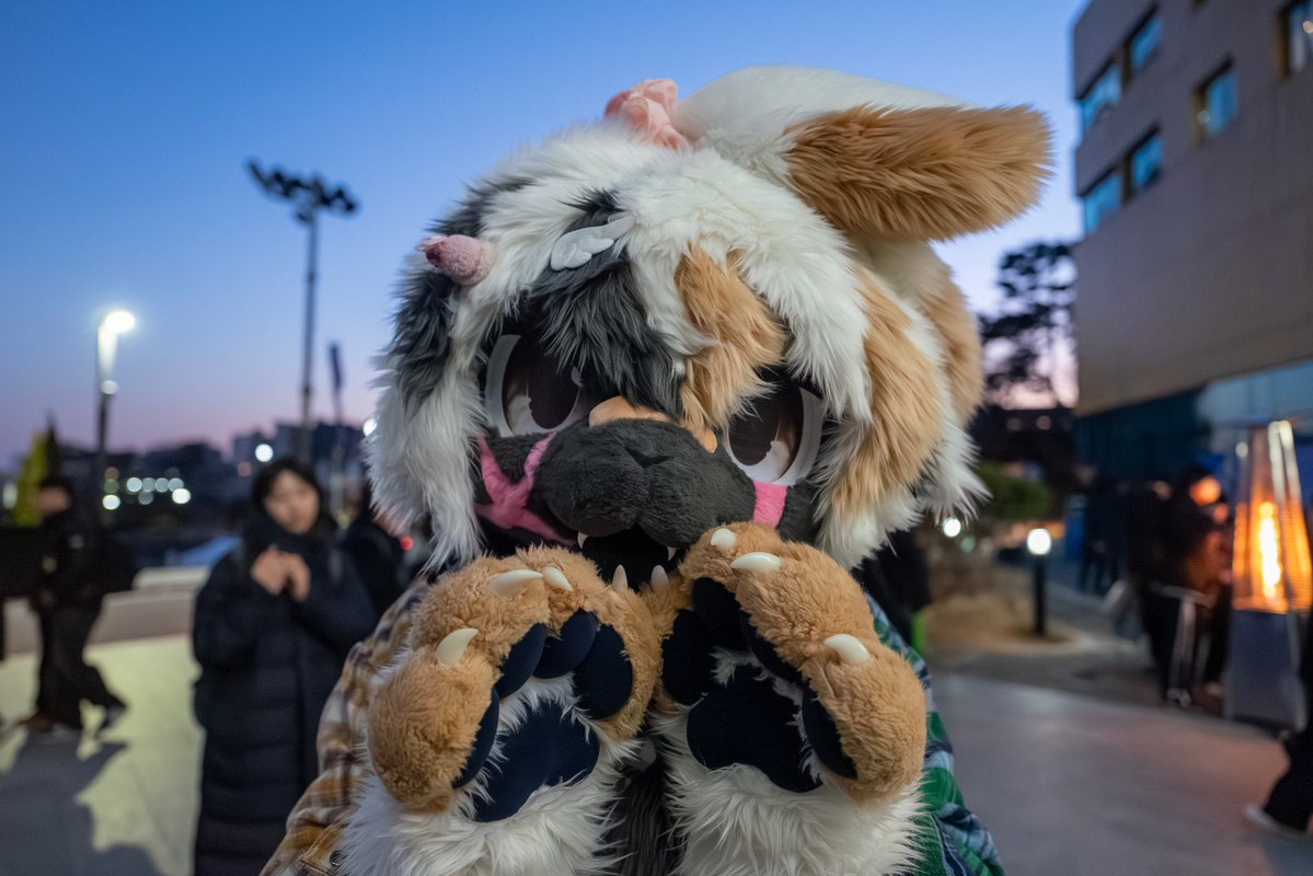 #FursuitEveryday #fursuit #퍼조2026
📷 <a href="/Satohuki/">후키</a>

추워? 손잡을래?