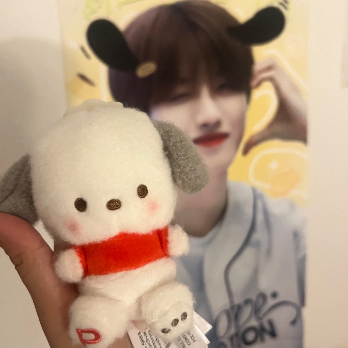 윤🤍휘🐶 tweet media