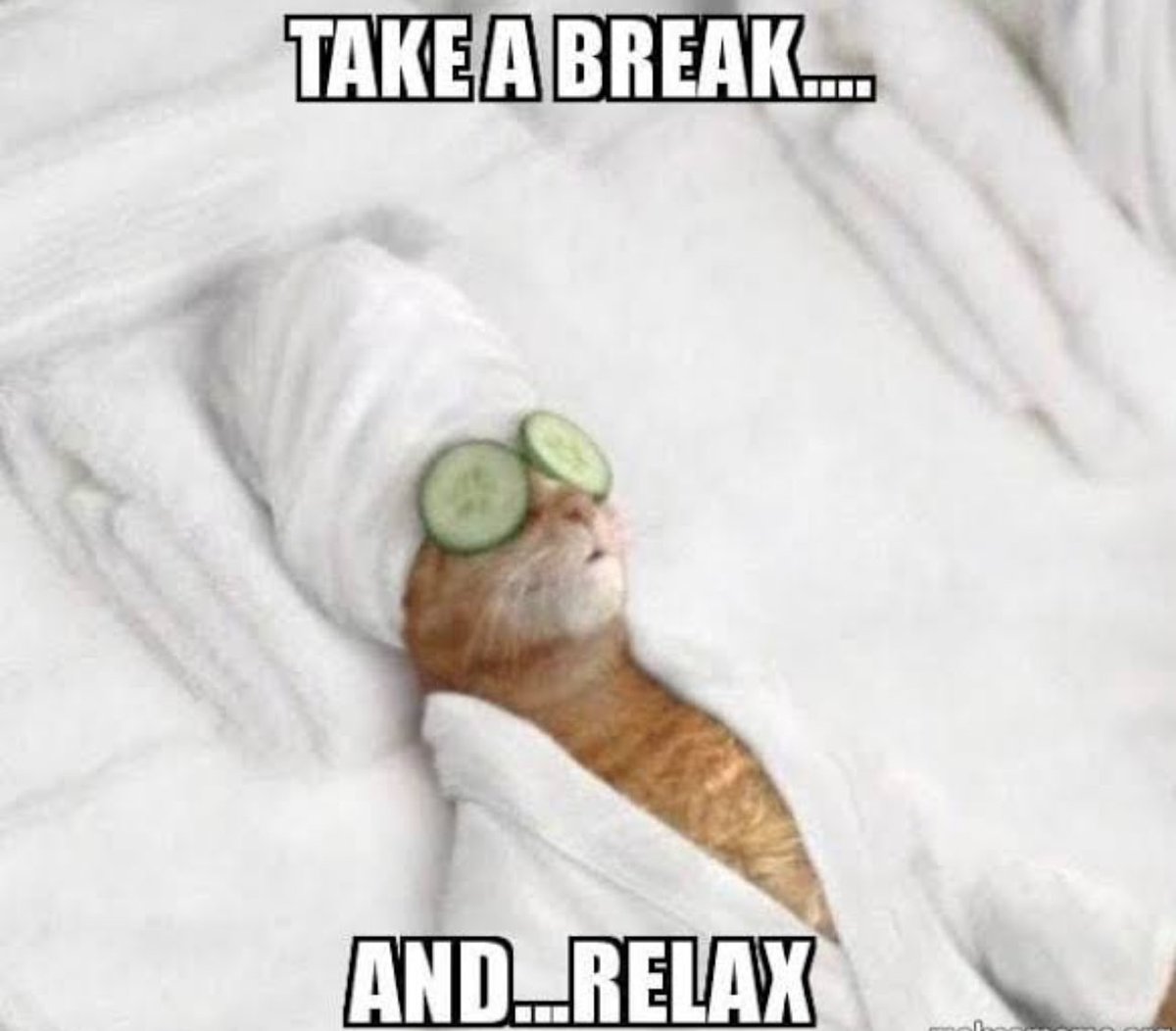 king_obuks's tweet photo. top of the morning everyone !

it’s the weekend guys 

make sure you step outside, touch some grass, and take a break from the screen. 

happy weekend https://t.co/q8gFfsXqU6
