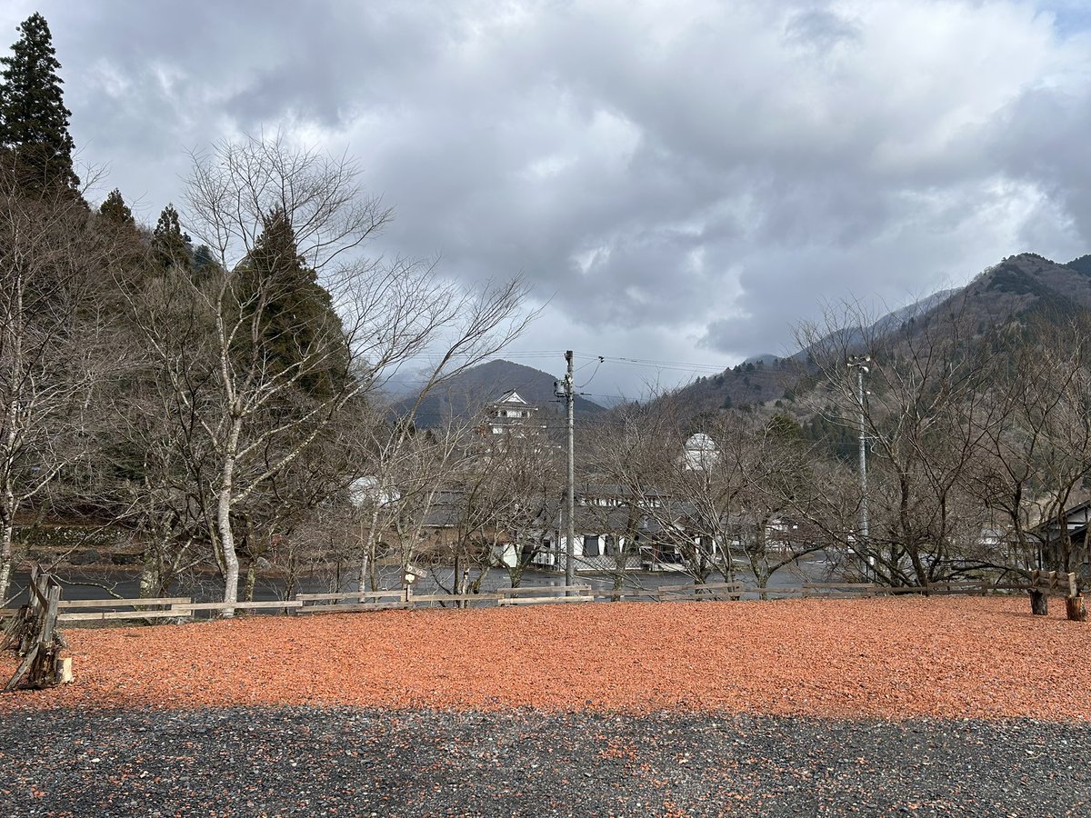 vmax1200_'s tweet photo. ここをキャンプ地とする🏕️
#キャンプ https://t.co/0IeDDGJrrT
