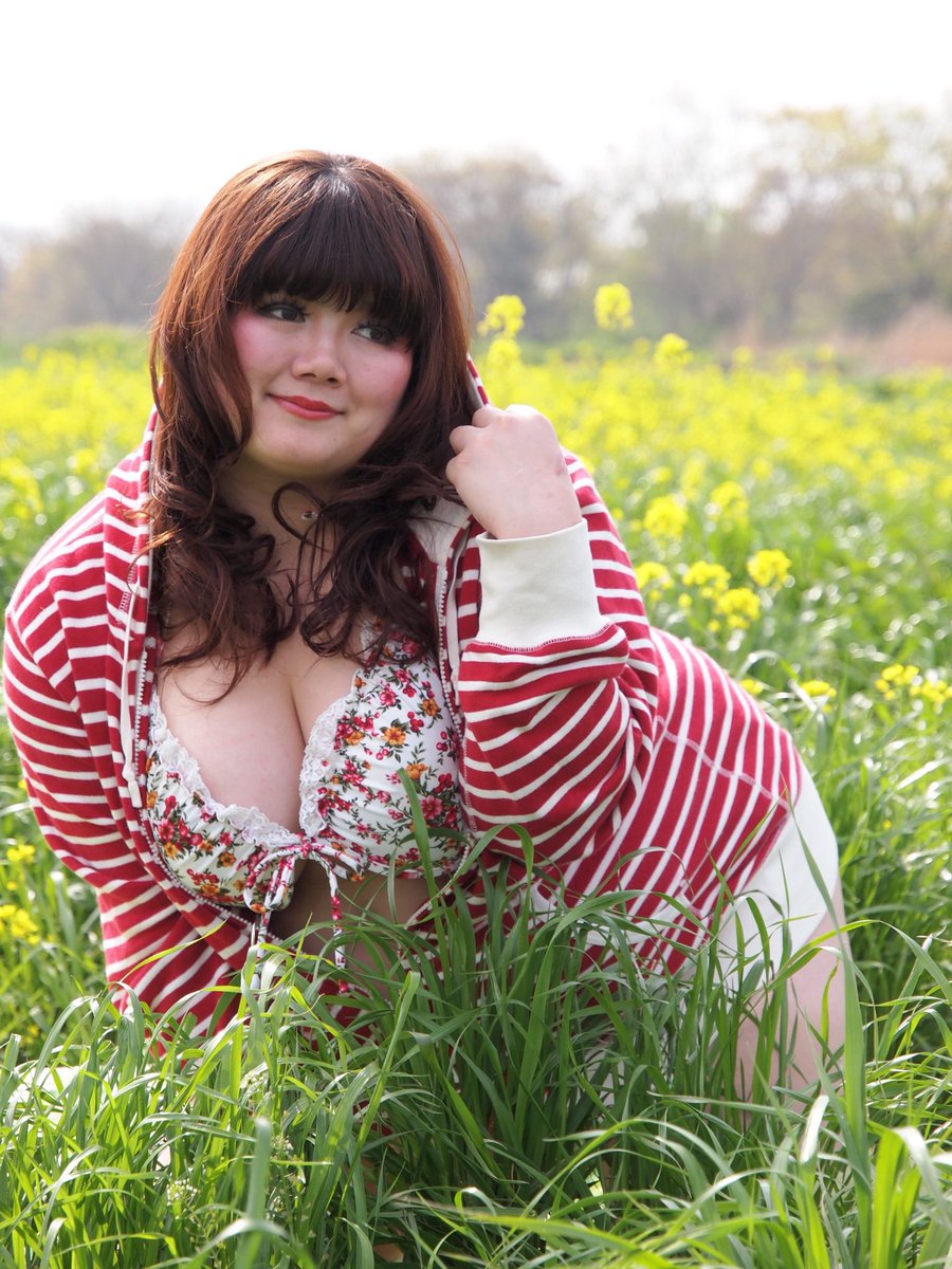 午睡ねこ tweet media