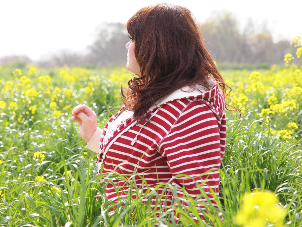 午睡ねこ tweet media