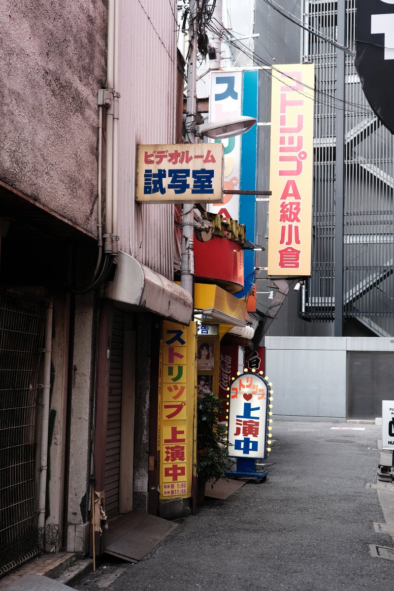 ピクチャーシェル tweet media