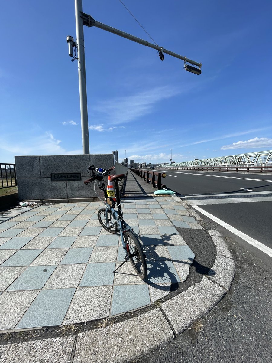 ＣＡＴ３０８ tweet media