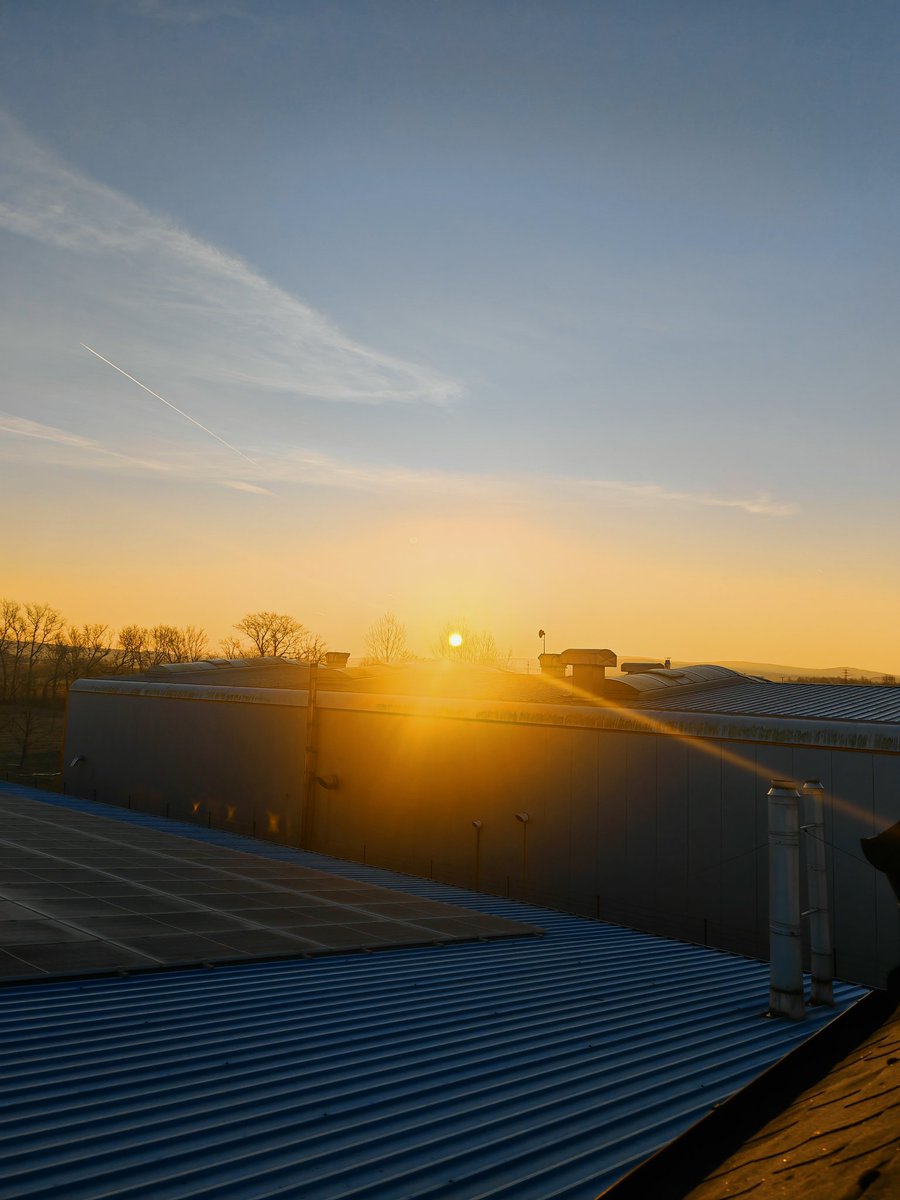 Jana Jochová tweet media