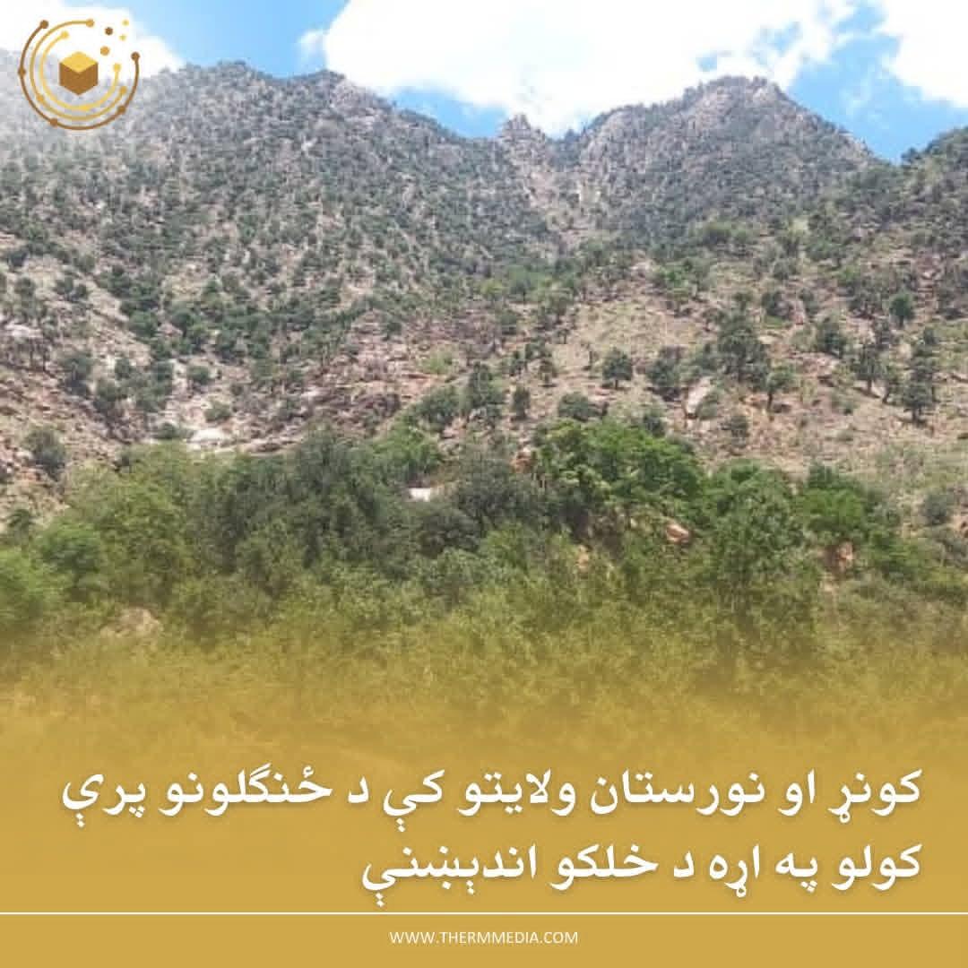 TheRMMedia's tweet photo. د کونړ د ناړۍ ولسوالۍ اوسېدونکی ابراهیم له (ار.ام. میډیا) سره خبرو کې وايي، په دې وروستیو میاشتو کې د کونړ په بېلابېلو سیمو کې د ځنګلونو غیرقانوني وهل زیات شوي چې د مخنیوي لپاره یې هېڅ ډول څارنه هم نه‌کیږي.

هغه اندېښنه لري او وایي، د ځنګلونو په اوسنۍ بڼه وهل چاپېریالي ننګونې ډېرولی شي. «ځنګلونه په ډېرې بې رحمۍ سره د طالبانو د پلویانو او ځایي خلکو له لوري وهل کېږي، دوی آرې او نور وسایل لري او د ځنګلونو ونې ورباندې پرې کوي، زیات ځنګل وهل شوی او لاهم دوام لري.»

https://t.co/dTM9durjLv