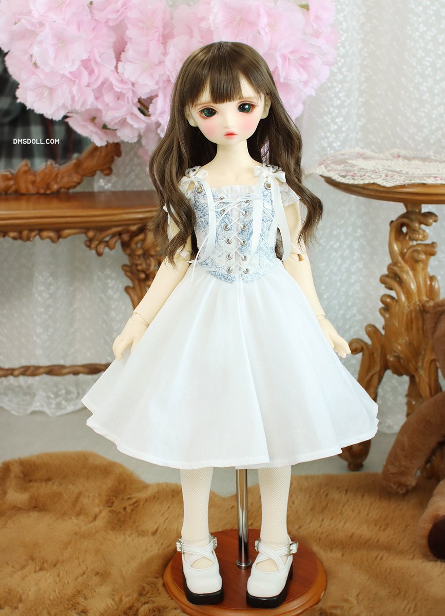 디엠에스돌 tweet media