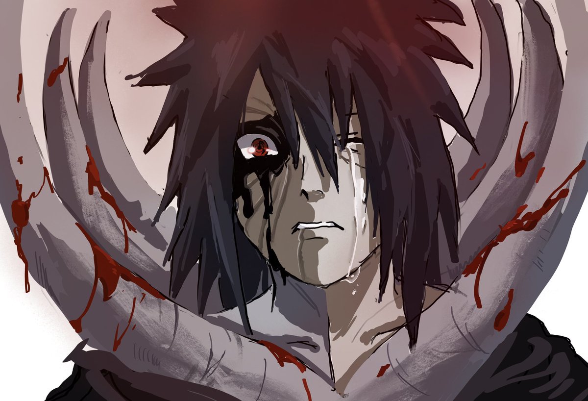 万年参 tweet media