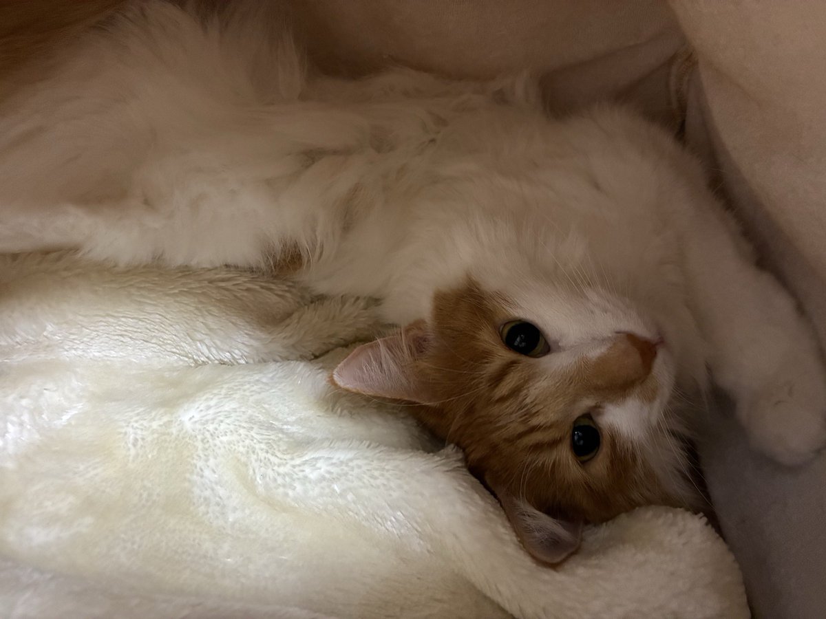 #ハートの休日
#インスタライブ

誠に申し訳ありませんが今週
明日3/8のインスタライブはお休みさせていただきます🙇

寒暖差の激しい気候です
くれぐれも
お身体ご自愛ください❣️

#IKUROFujiwara
#藤原いくろう