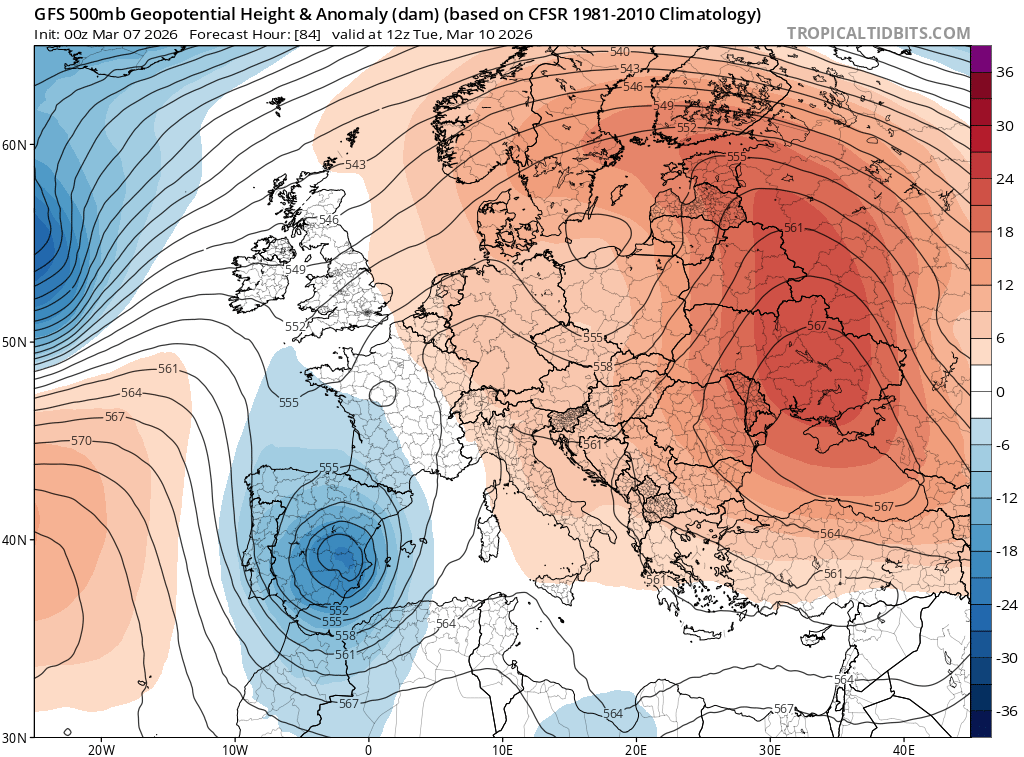 Àlex Van der Laan tweet media