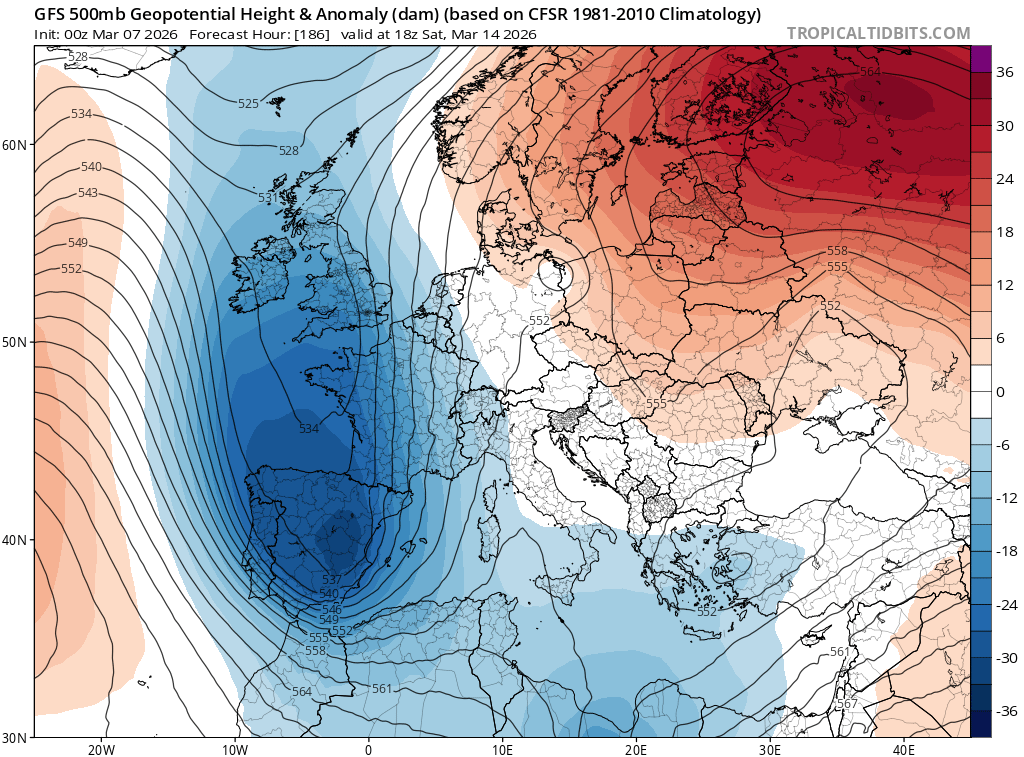 Àlex Van der Laan tweet media