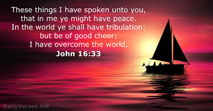 Marty2628's tweet photo. John 16:33
“In this world you will have trouble. But take heart! I have overcome the world.”
#TakeHeart #Peace #Faith https://t.co/5hJtugF42B