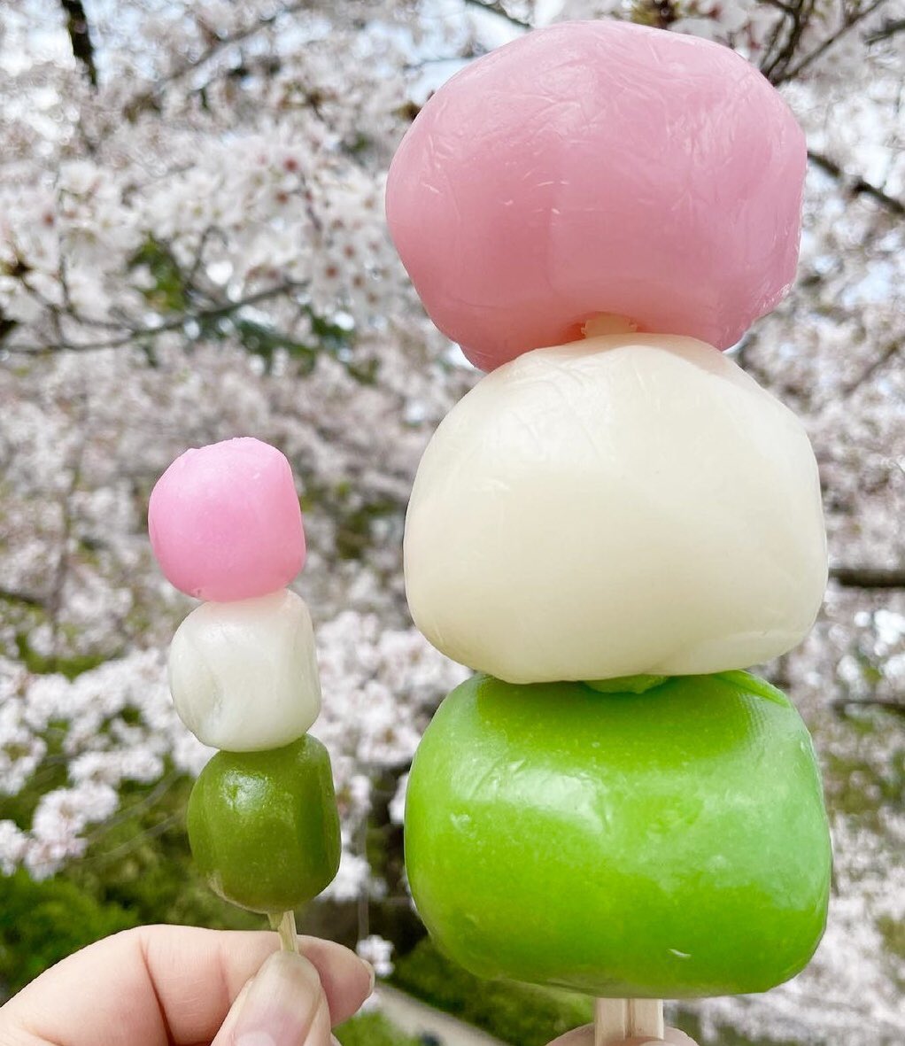 愛知県東岡崎駅近くにある岡崎公園内で桜まつりの期間に発売されている、普通のお花見団子の10倍(800g)の大きさがある「ジャンボ花見団子」✨