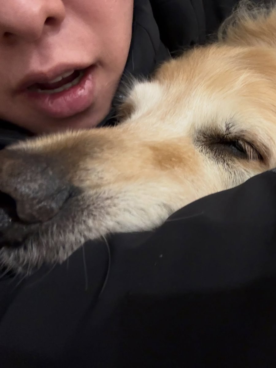 🝳 닝 tweet media