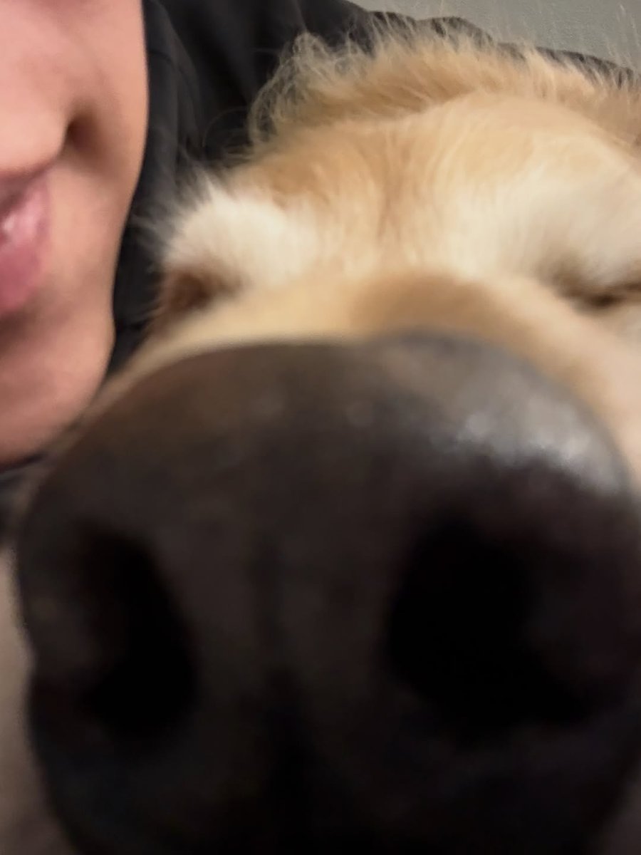 🝳 닝 tweet media