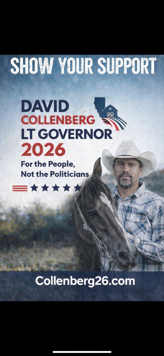 David collenberg tweet media