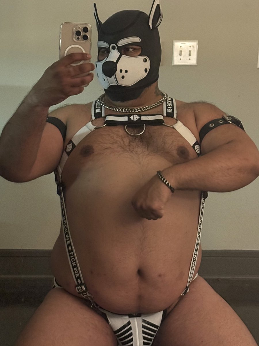 𝕺𝖈𝖊𝖑𝖔𝖙 𝕺𝖓𝖞𝖝 tweet media