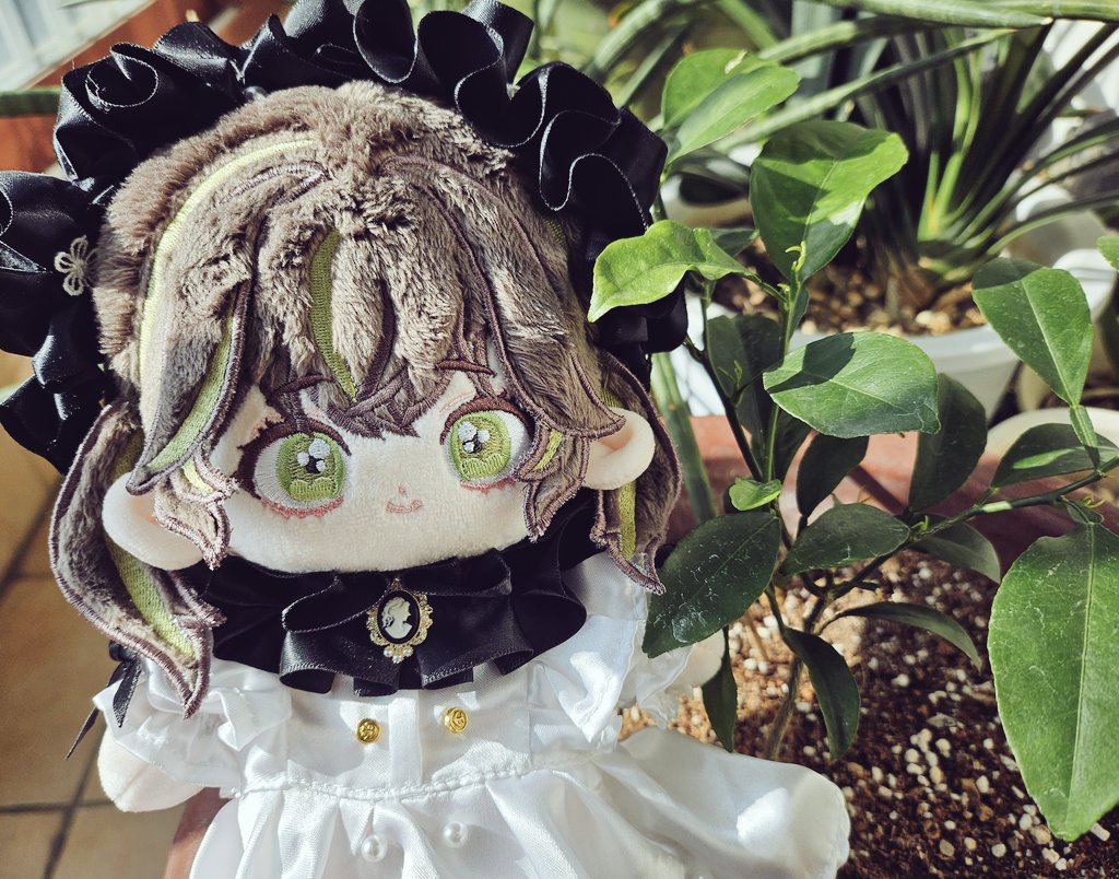 에이트르 tweet media