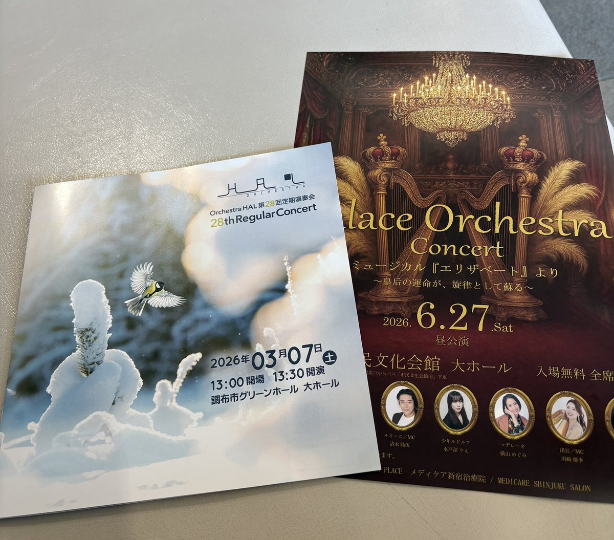 Palace Orchestra tweet media