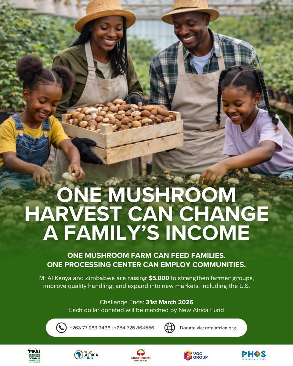 Michigan Fellows Africa Initiative (MFAI) tweet media