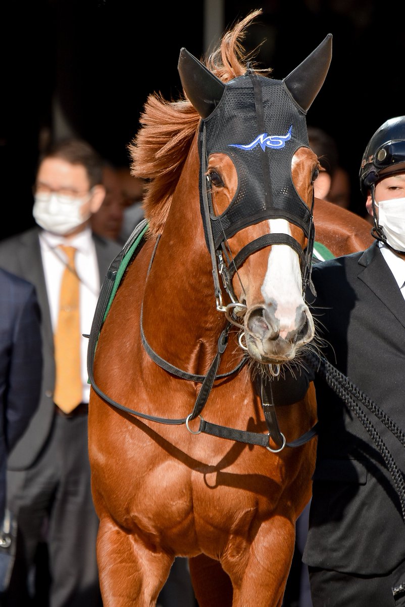 Meg∞🏇📷️🎾🤫 (@M89oumasan) / Posts / X