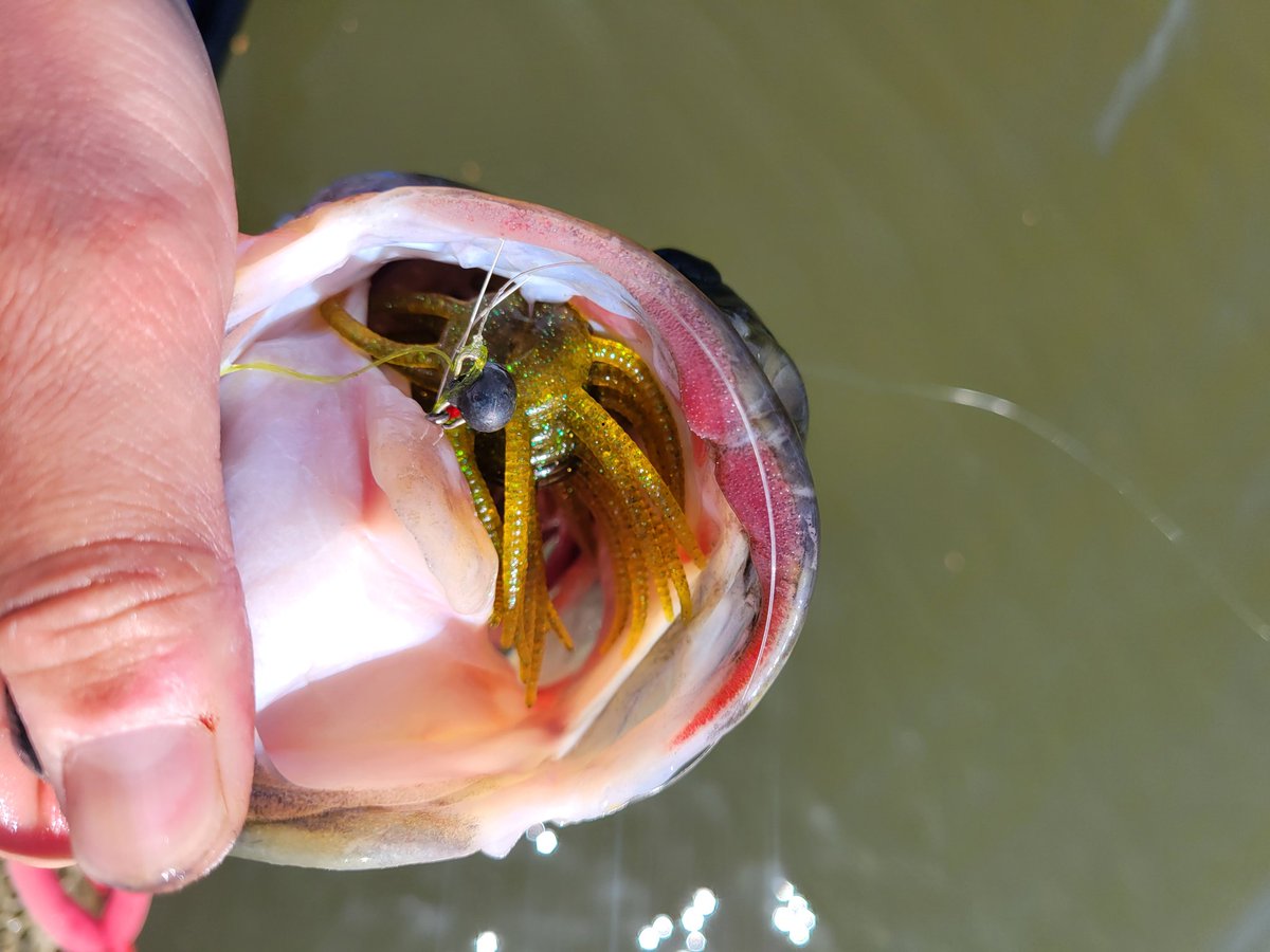 E06201127's tweet image. さっそく新製品をストストさせてきましたが答えが早い😂
手元に伝わる操作感でめっちゃ良くて使いやすい👍
これから使い込むのが楽しみです😁
#engine 
#Powerfluffy