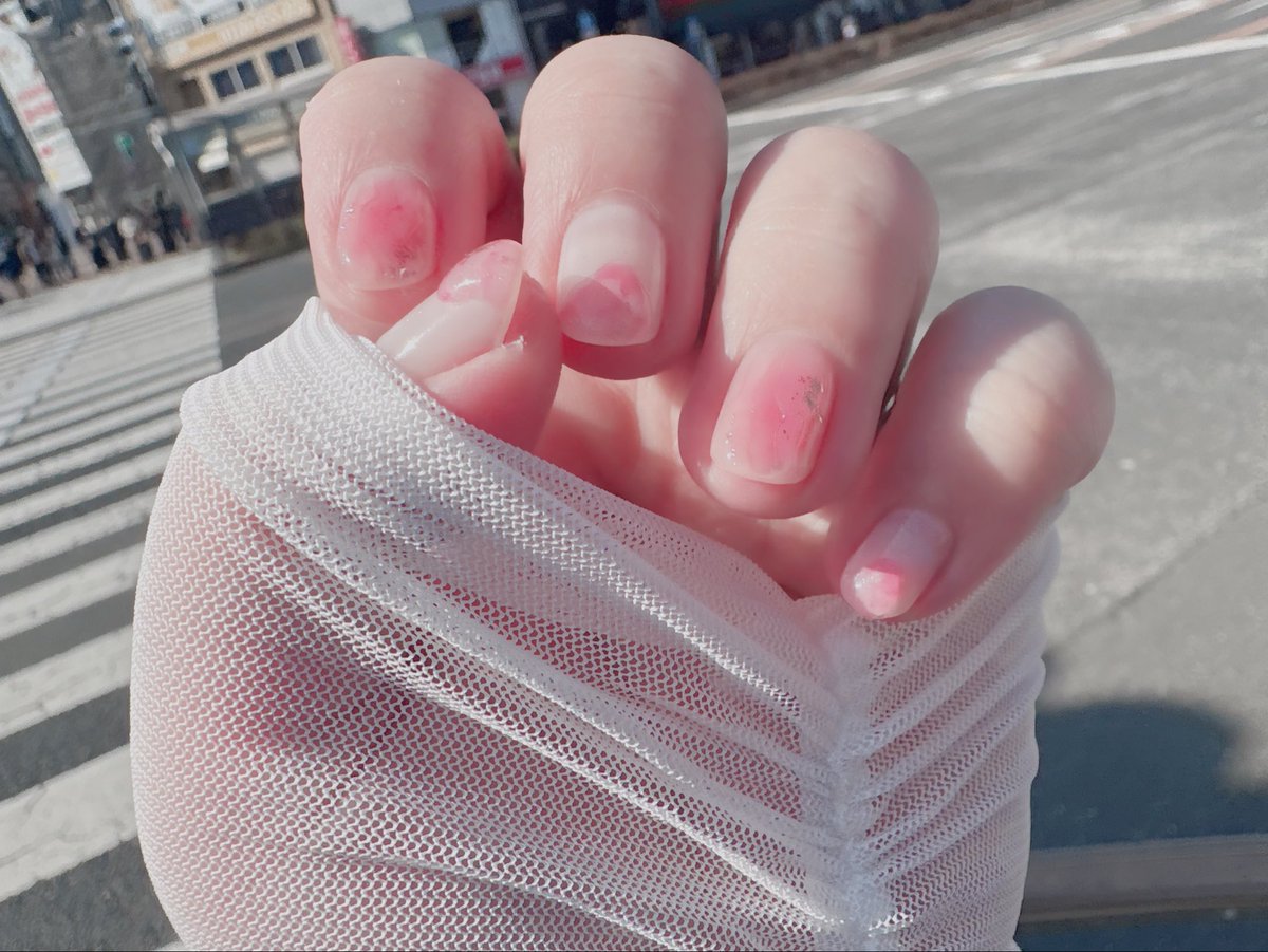 豆腐めんたる。 tweet media
