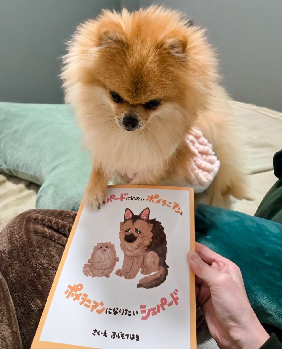 EBIKECHI tweet media