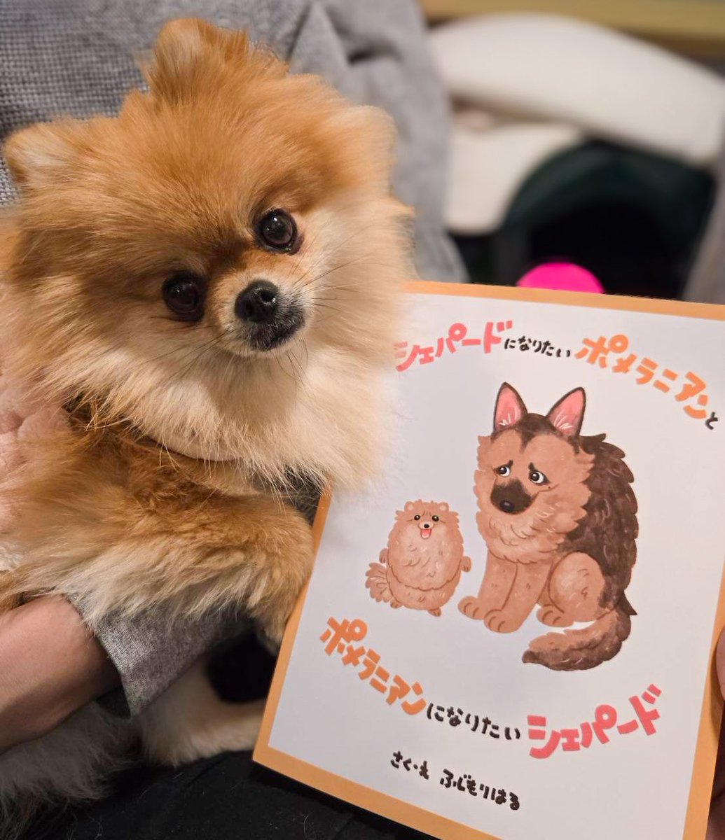 EBIKECHI tweet media