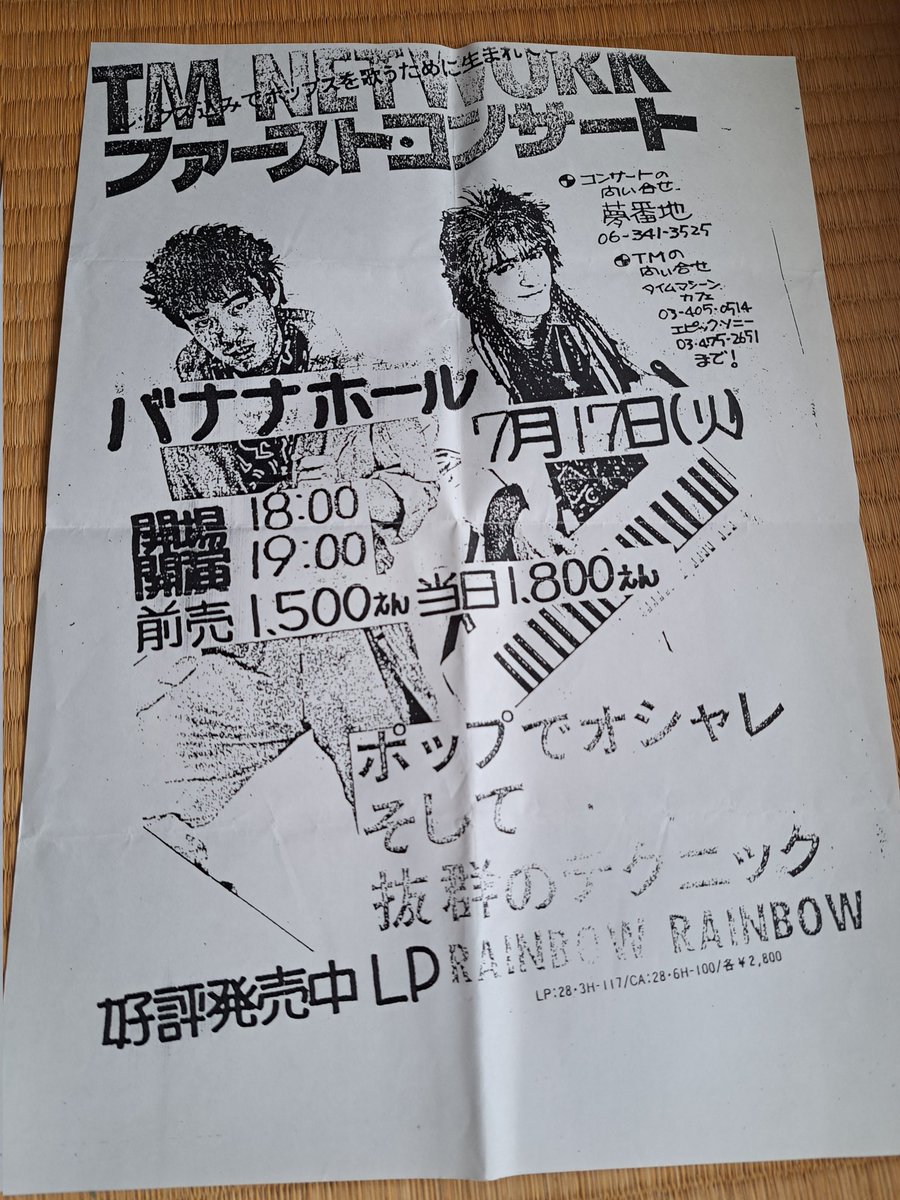 ひだまりねこ tweet media