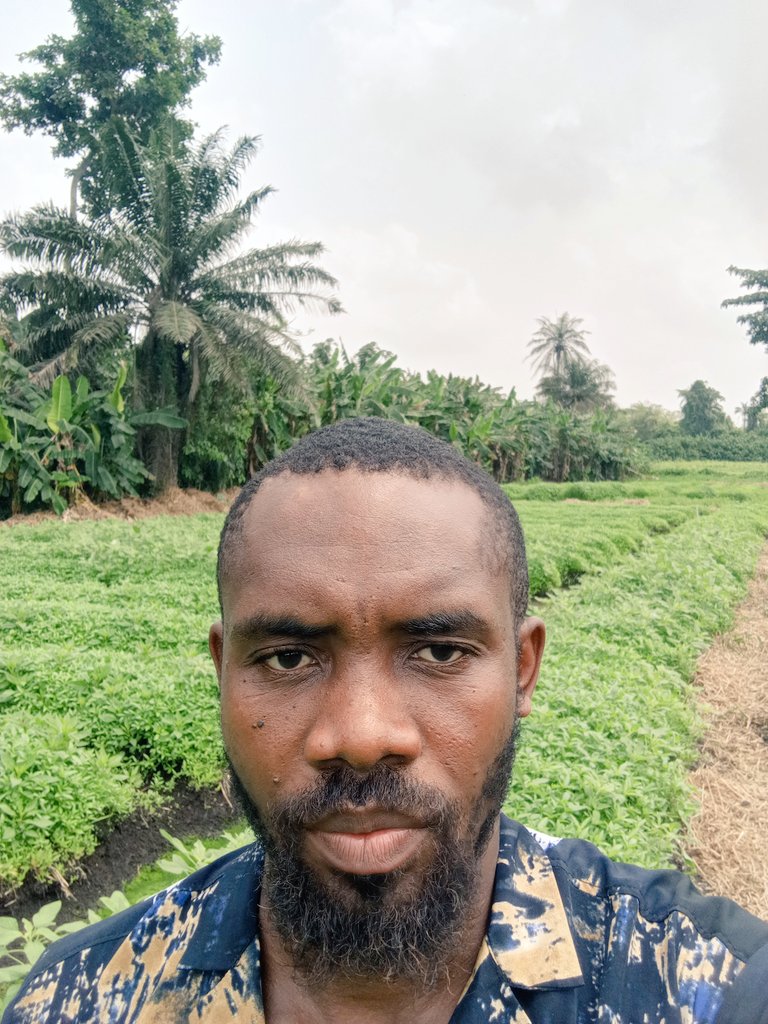 Chukwunonso (Farmer) tweet media