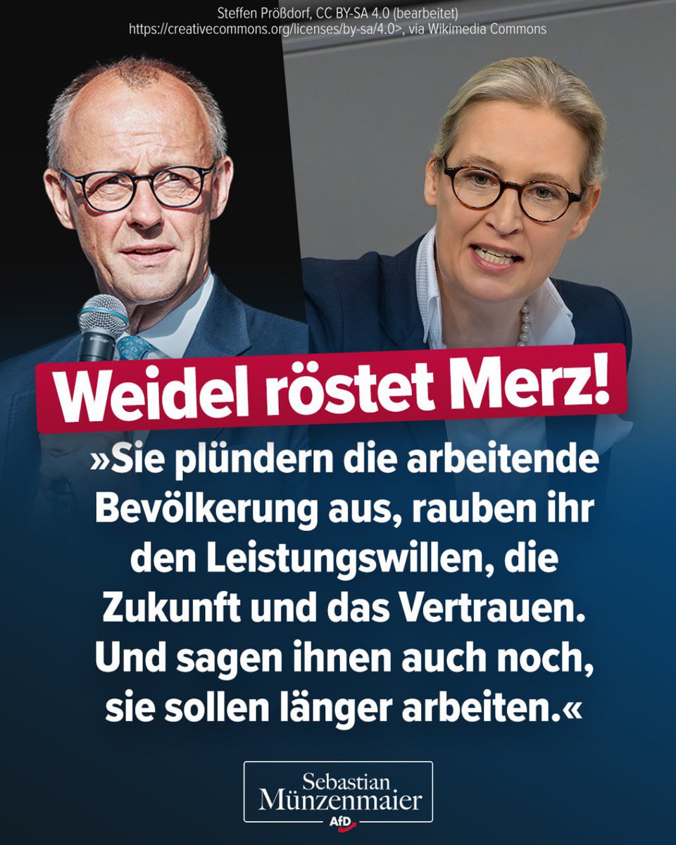 Alice Weidel bringt es perfekt auf den Punkt!💯👍