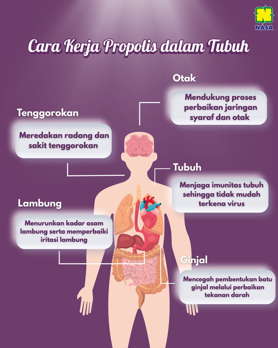 ptnasa's tweet image. SUNPRO hadir sebagai solusi praktis untuk kamu yang ingin tetap nyaman dan siap menjalani hari, kapan pun dibutuhkan 💧🤍

Kecil ukurannya, luas perannya!

#SUNPRO #PropolisAlami #SehatDariDalam #DailySupport #RawatTubuh