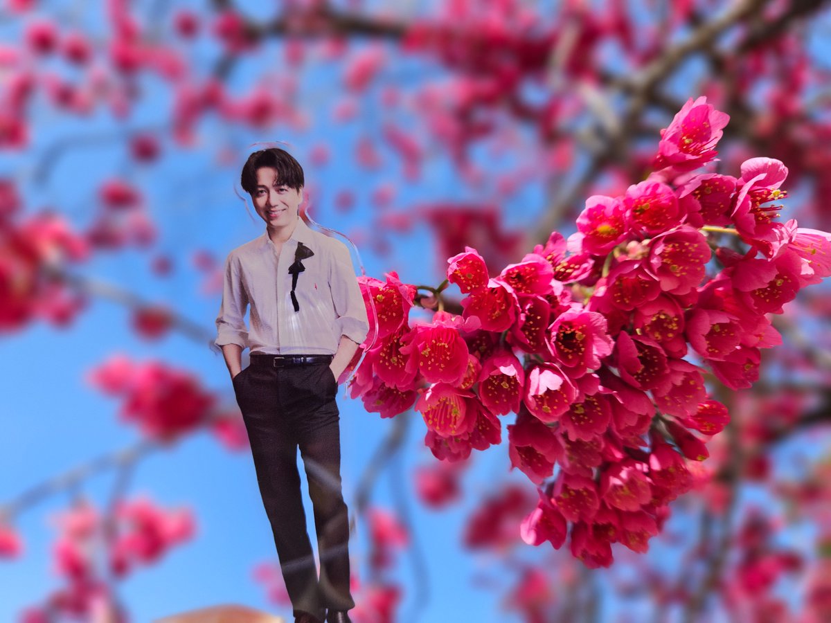 ay1936ik's tweet photo. きしめん🍜
さくら🌸
豆大福😊
今日は豆粒のようないっくんしか見れないだろうけど(席が遠い)
はじまる前から楽しい🎵

#山崎育三郎
#THISisIKU https://t.co/n6m0I5l8MZ