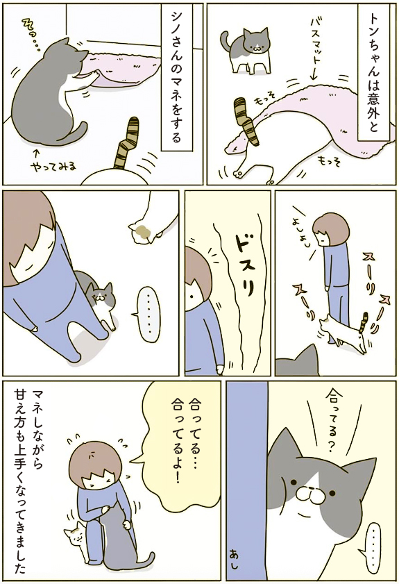 合ってる?🐱 