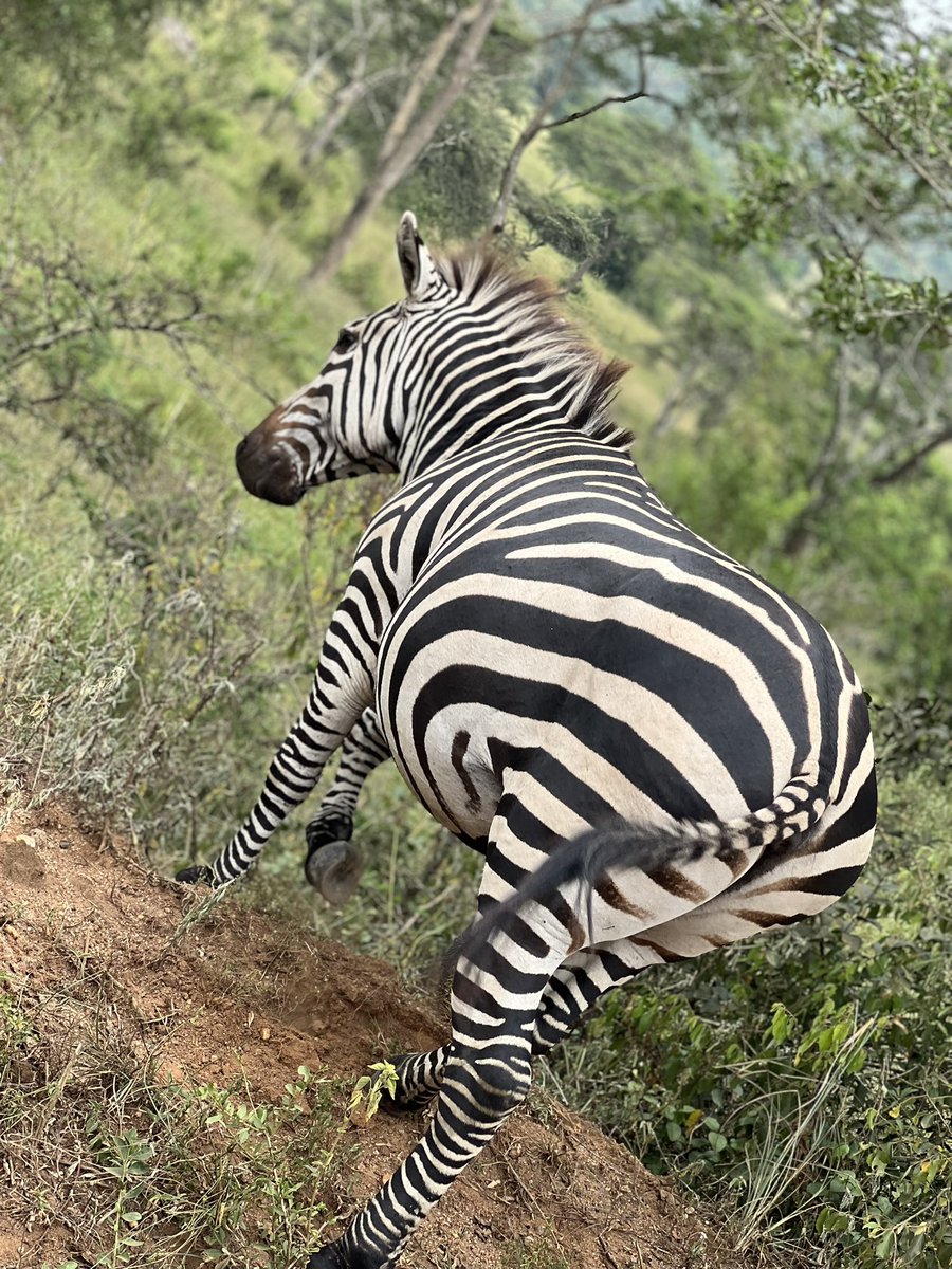 Gilbert Arinda🇺🇬 tweet media