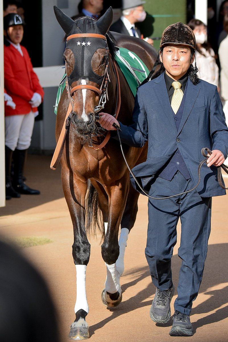 Meg∞🏇📷️🎾🤫 (@M89oumasan) / Posts / X