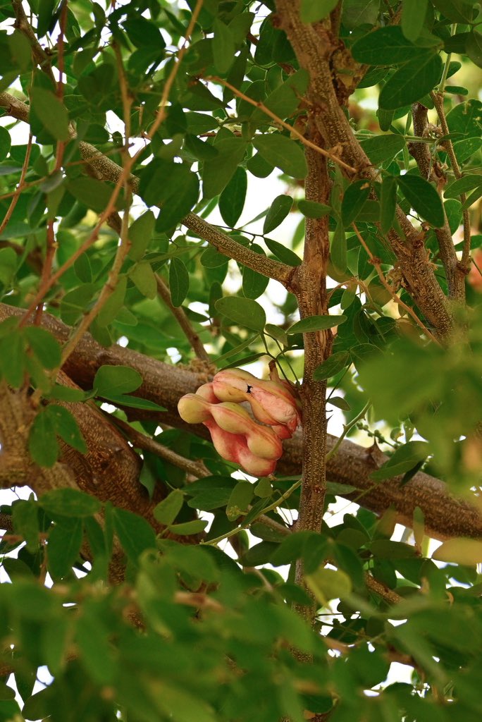 154Figen9z tweet media